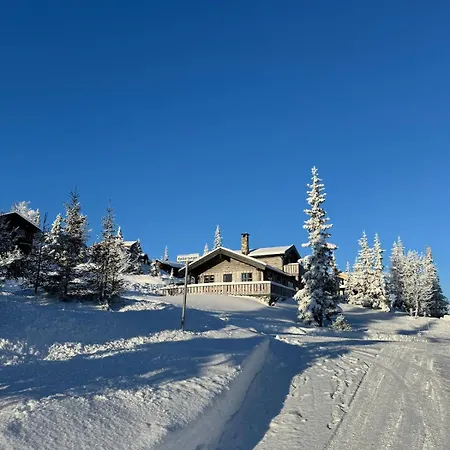 Delicate Cabin Near Alpine *