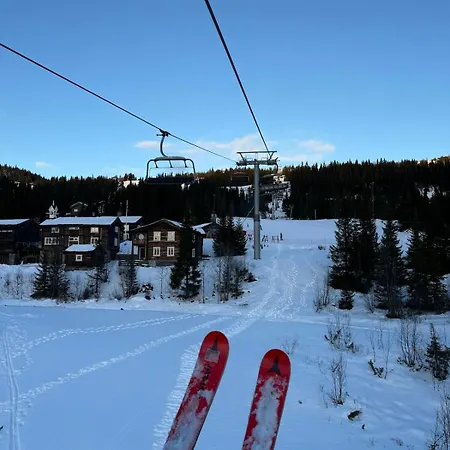 Delicate Cabin Near Alpine